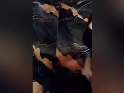 Amateur Sex Chat of Lola_2007