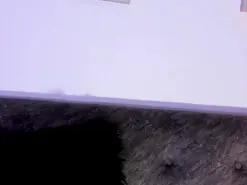 Amateur Live Sex of SagiraBelle