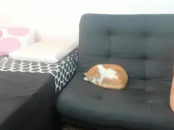 Amateur Adult Webcam of abby-max