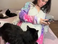 Amateur Live Sex Cam of Sofilasanta