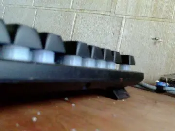 Bongacams Sex Cam of Asiankitties