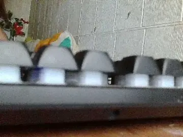 Bongacams Adult Webcams of Asiankitties