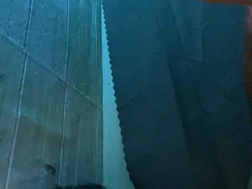 Bongacams Adult Webcam of Asiankitties