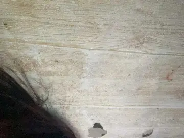 Bongacams Watch Live Sex Cams of Asiankitties