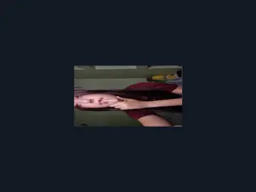 Bongacams Free Porn Cam of GeneEusebio
