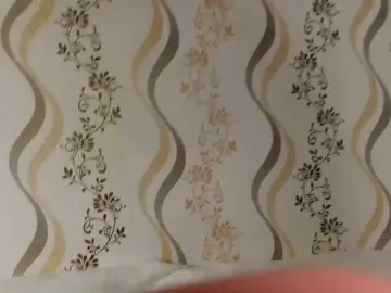 Bongacams Sex Chat of MelMooon