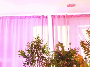 Bongacams Private Sex Chat of ExoticTala