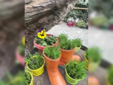 Bongacams Sex Chat of Lumarose