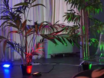 Bongacams Free Live Porn of OlyviaDelight