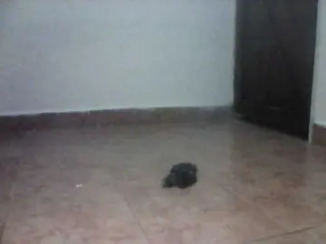 Bongacams Best live sex cam show of Sweetbby