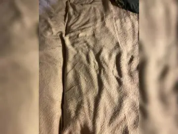 Bongacams Adult Webcam of ak6699