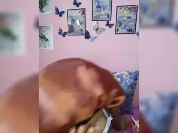Bongacams Best live sex cam show of Vaninah