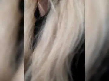 Bongacams Sex Chat of LittleSammy