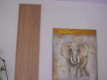 Bongacams Adult Webcam of SweetObsessionXO