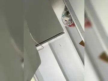 Bongacams Free Porn Cam of SallyeLeins