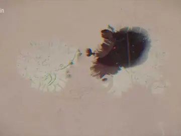 Bongacams Nude Webcam of Taanni