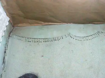 Bongacams Free Porn Cam of TriciaBella