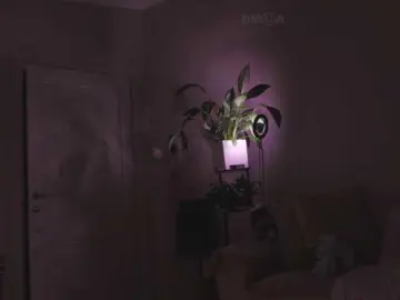 Bongacams Live Sex Cam of Kottyaaaa