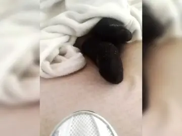 Bongacams Free Porn Cam of Juanitamami