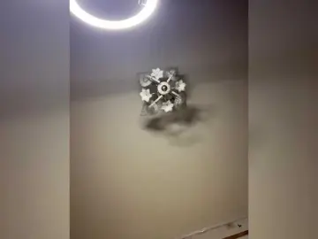 Bongacams Best live sex cam show of BellaAndAlice