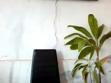 Bongacams Free Porn Cam of Bellacrespa