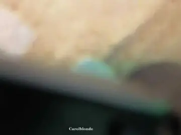 Bongacams Nude Webcam of Charlotte-glasses