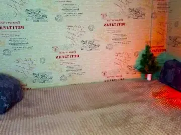 Bongacams Best Webcam of emiless