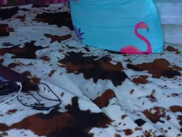 Bongacams Adult Video Chat of MissnewXXX