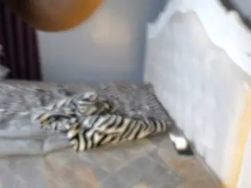 Bongacams Adult Webcams of Secretarysandy