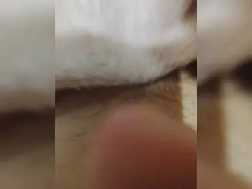 Bongacams Live Sex of bulochka733