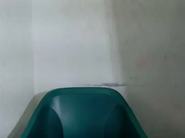 Bongacams Free Porn Cam of Sugarxpussy