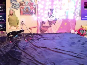Bongacams Watch Live Sex Cams of BabyZelda