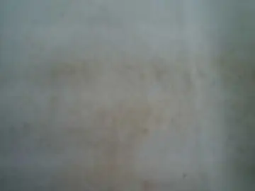 Bongacams Live Porn of Creamyjuice