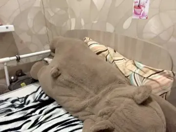 Bongacams Sex Chat of sofiterners