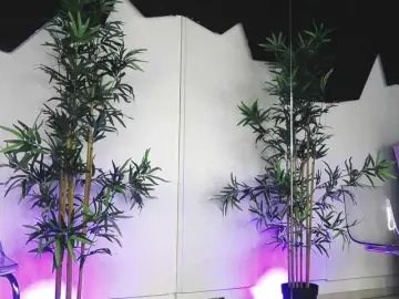 Bongacams Free Live Porn of NattyMoonx