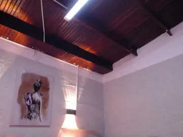 Bongacams Adult Webcams of Alaya-Cute