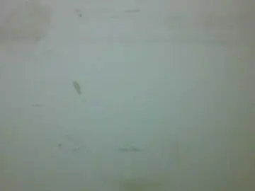 Bongacams Free Live Porn of ChubbyBooby