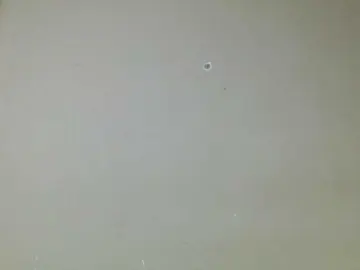 Bongacams Adult Video Chat of Spicedpussy