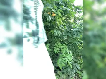 Bongacams Free Live Porn of AyraMoon