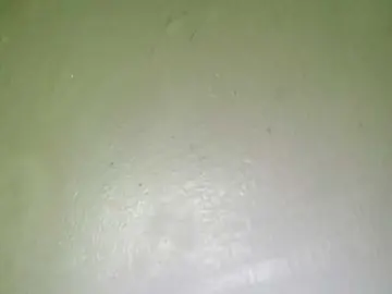 Bongacams Live Sex Cam of Pempemliciouss