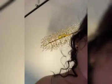 Bongacams Sex Cam of Adel9