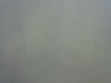 Bongacams Live Sex of Lovelybabraa