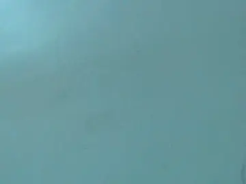 Bongacams Sex Chat of milytylor