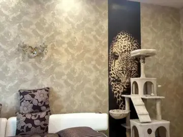 Bongacams Private Sex Chat of SunniCunningan