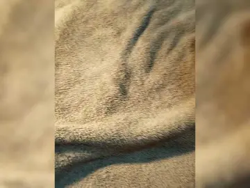 Bongacams Adult Webcam of loveorbit