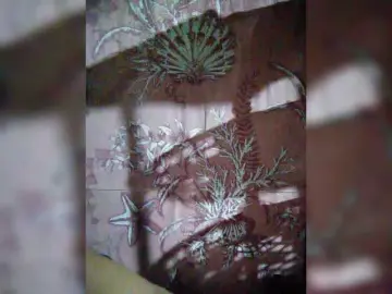 Bongacams Adult Webcam of XXhornywetprincess99XX