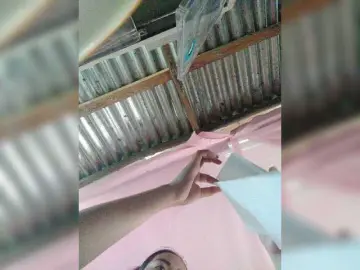 Bongacams Free Live Porn of XXhornywetprincess99XX