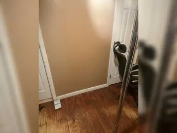 Bongacams Live Porn of AlyssaBennet