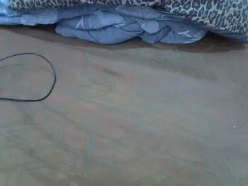 Bongacams Best Webcam of cudlecanvas