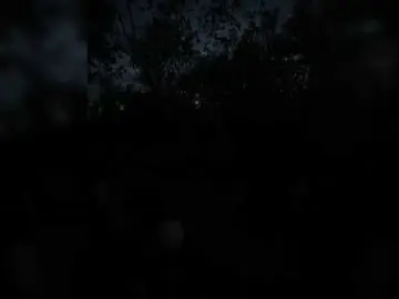 Bongacams Adult Webcam of Sun-Moon